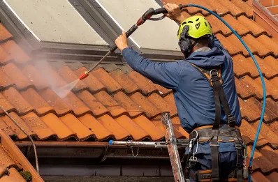 Démoussage et hydrofuge de toiture à Roche-Morey
